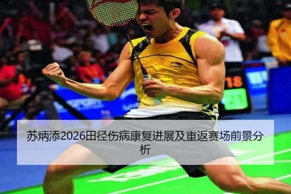 su-bing-tian-tian-jing-shang-bing-kang-fu-jin-zhan-ji-chong-fan-sai-chang-qian-jing-fen-xi-2-176.jpg