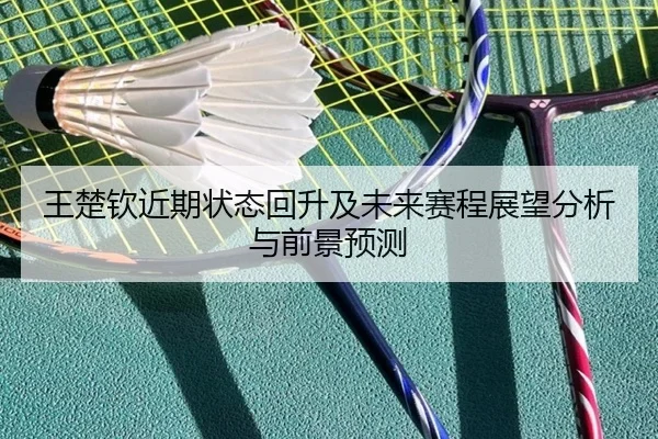 王楚钦近期状态回升及未来赛程展望分析与前景预测